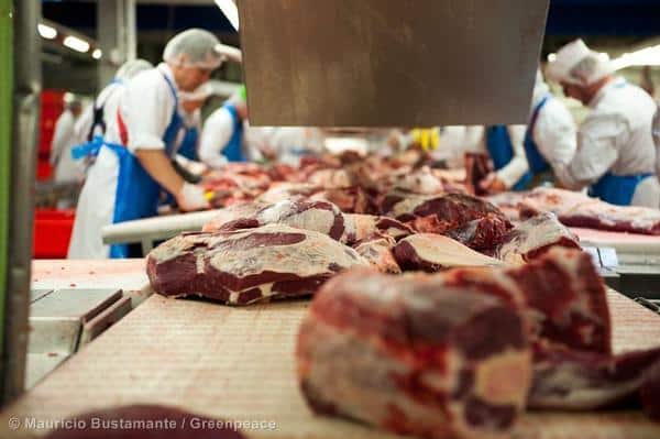 Greenpeace-Studie: Wieviel  Fleisch und Milch ist umweltverträglich?