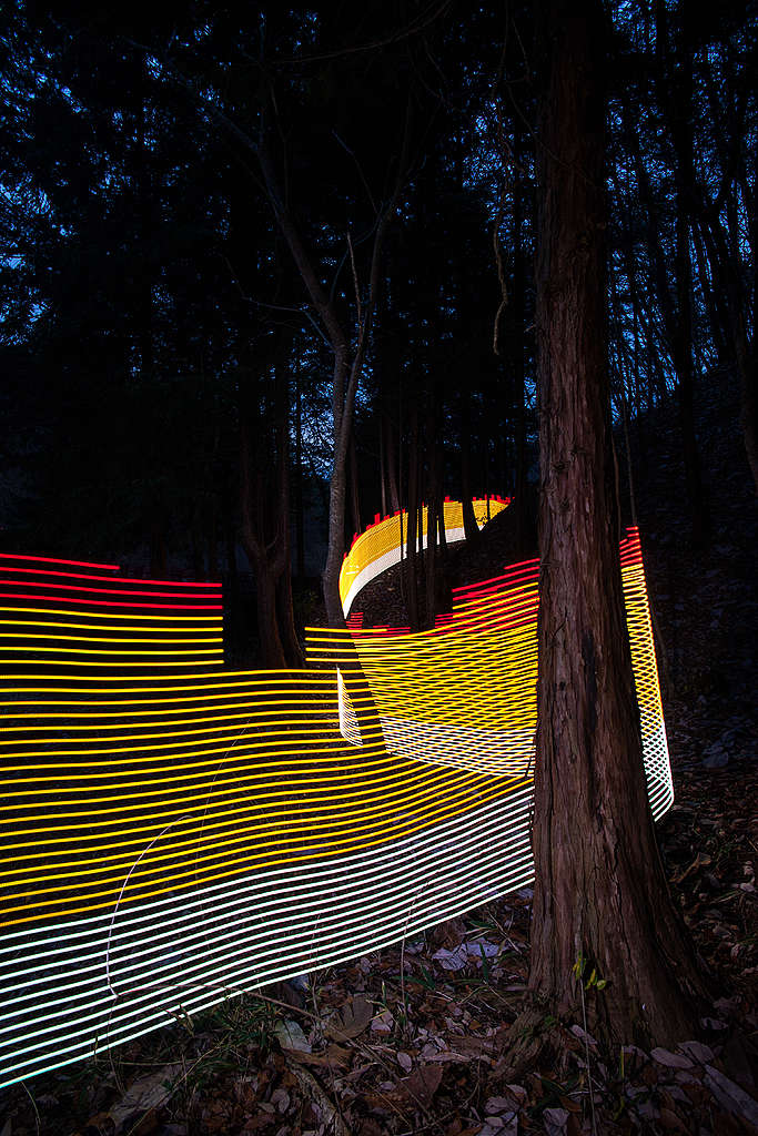 Tschernobyl und Fukushima: Die Beleuchtung des Unsichtbaren