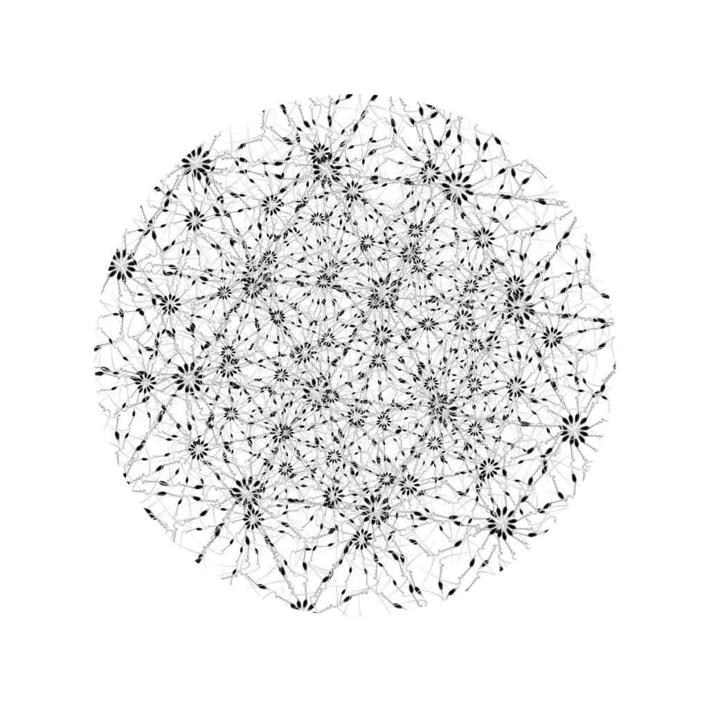 Die Archivierung Edens