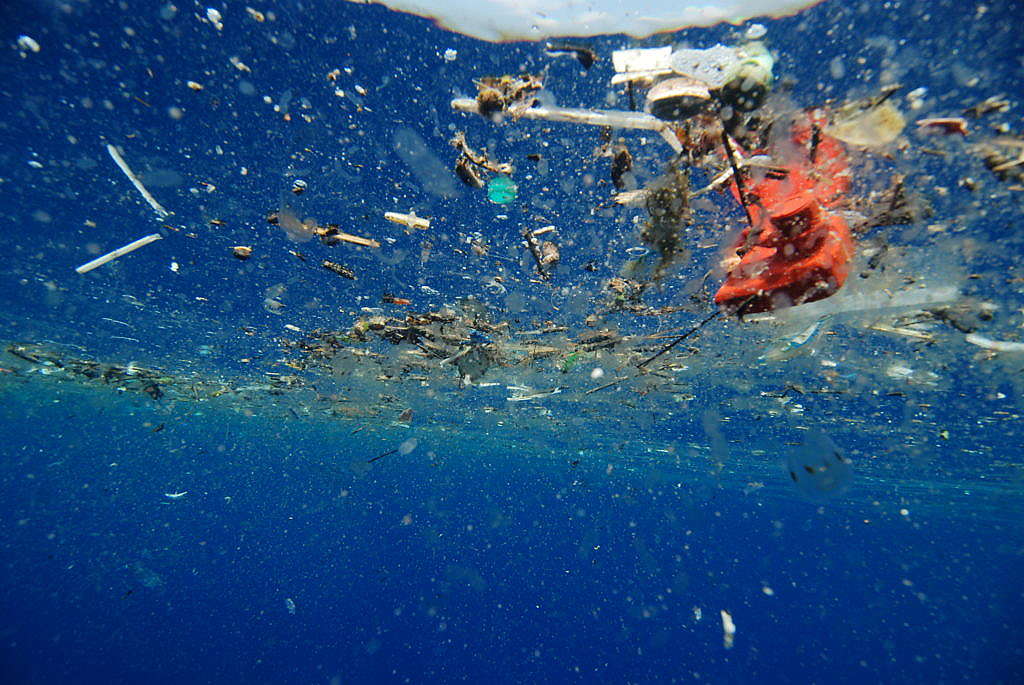 Plastikmüll im Meer: Verwende keine Strohhalme!