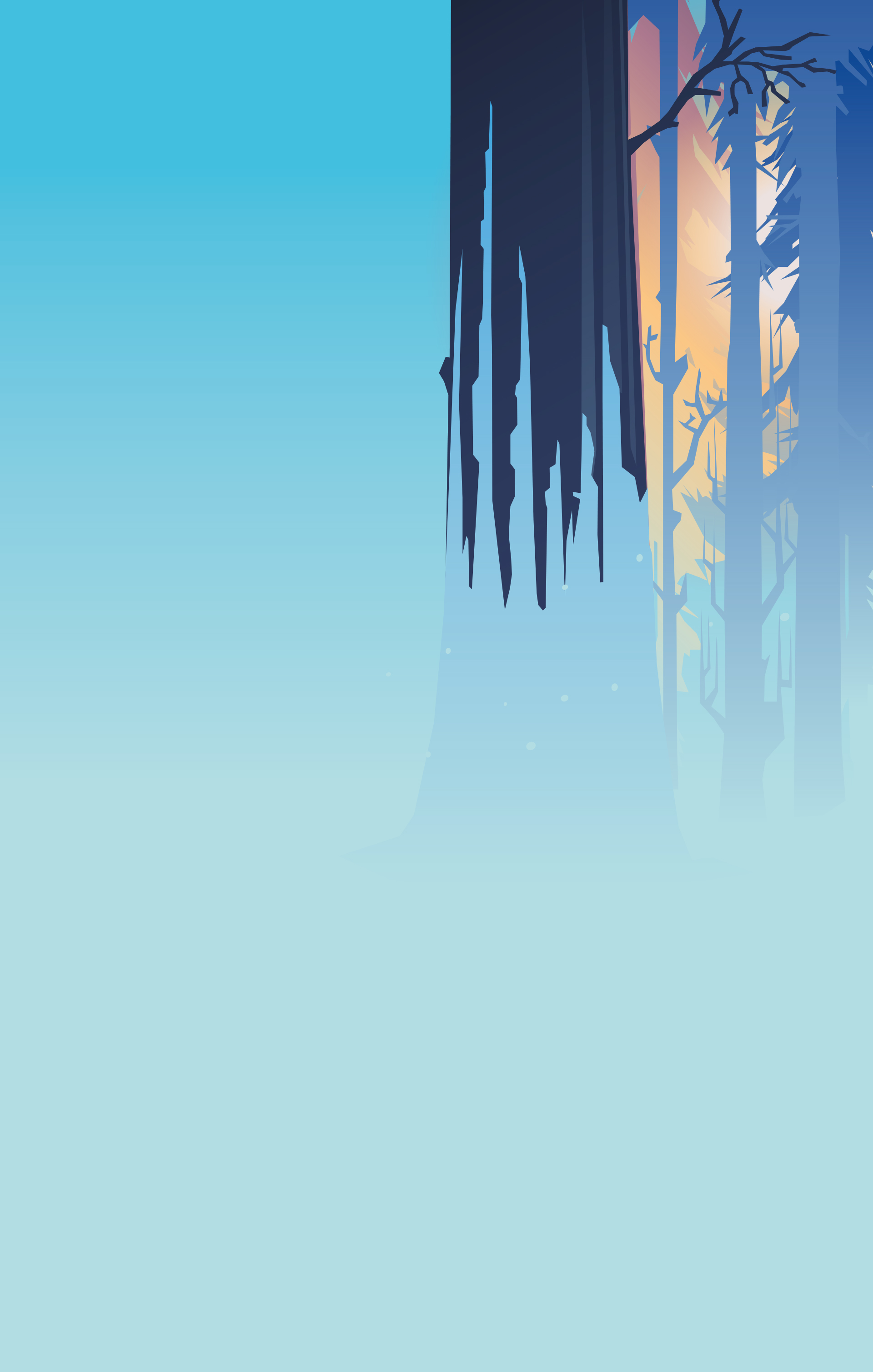 Holzfällerstrasse innerhalb der Logging-Konzession der Firma ITB.