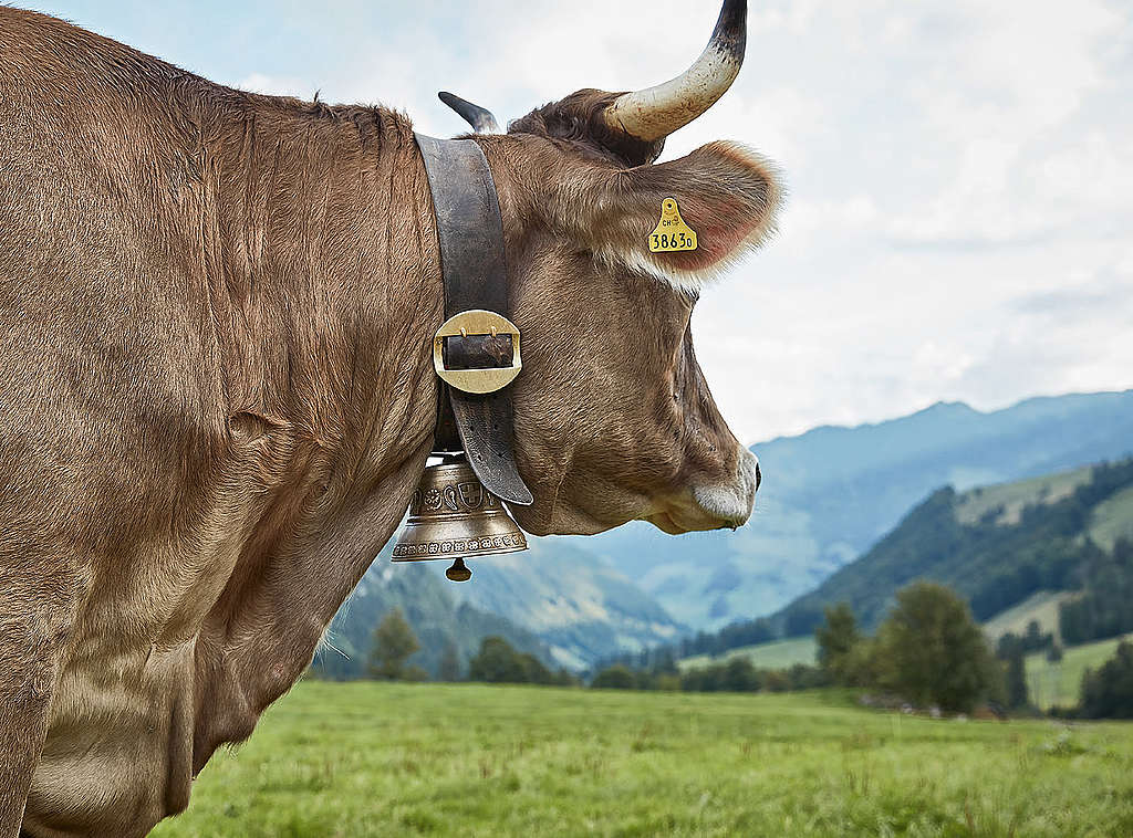 Was sind uns unsere Lebensmittel wert?