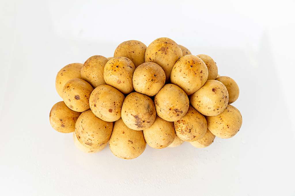 Von sieben Kartoffelstücken (und fünf Kilo Food Waste)