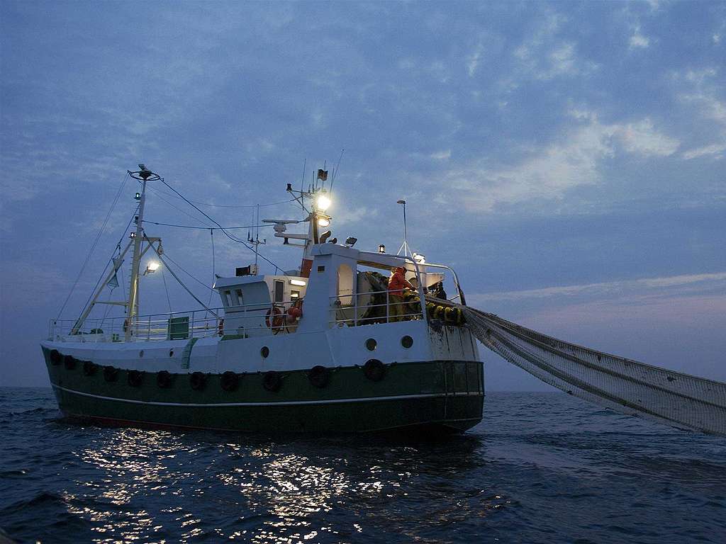 EU-Subventionen für Überfischung