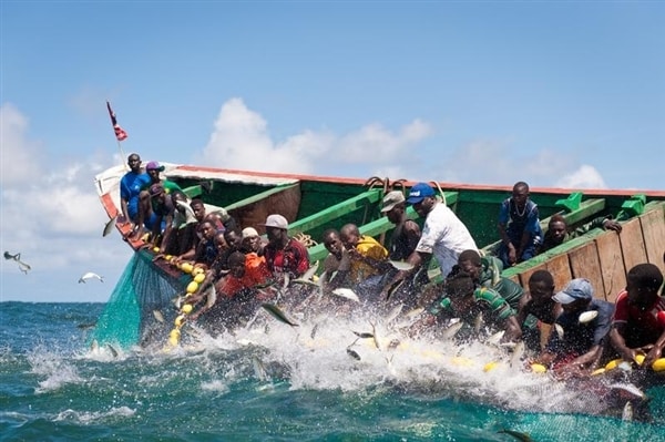 Pêche: l&rsquo;espoir renaît au Sénégal
