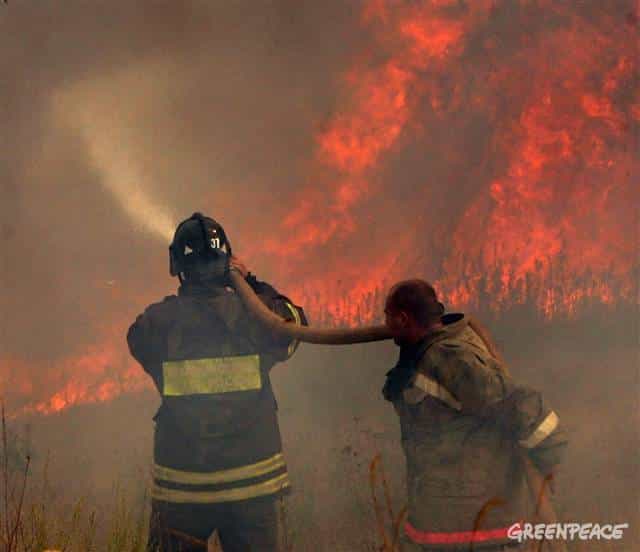 Brände in verseuchten Regionen bestätigt – Entwicklung ungewiss