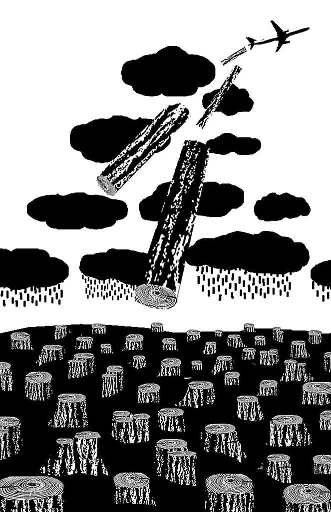 Hochfliegende Pläne, Absturz der Nachhaltigkeit