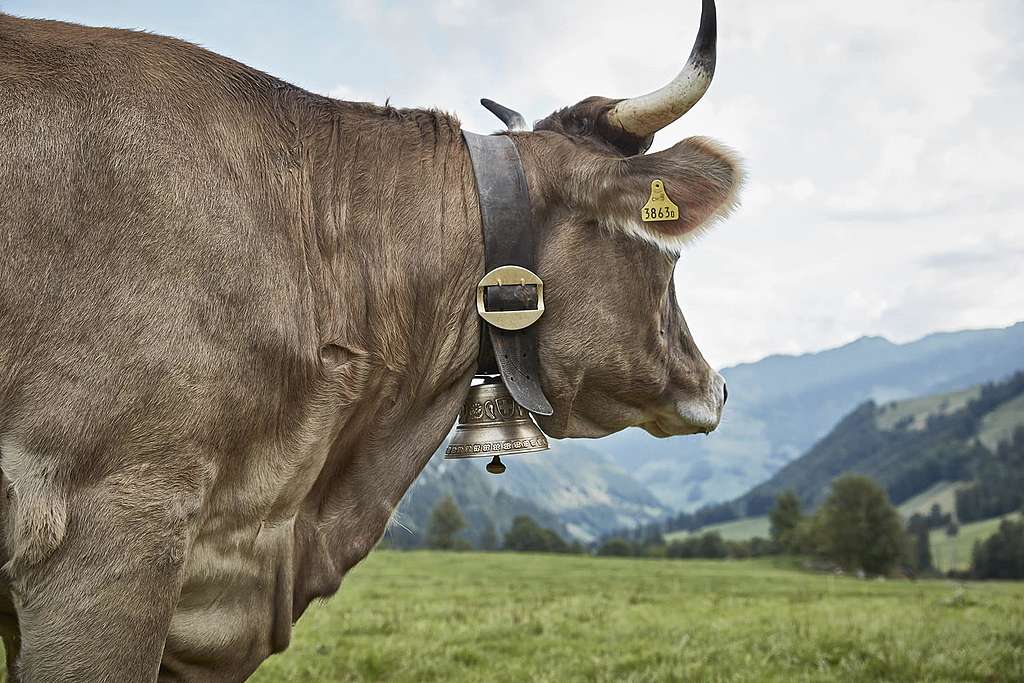 Quelle est la valeur de nos aliments?