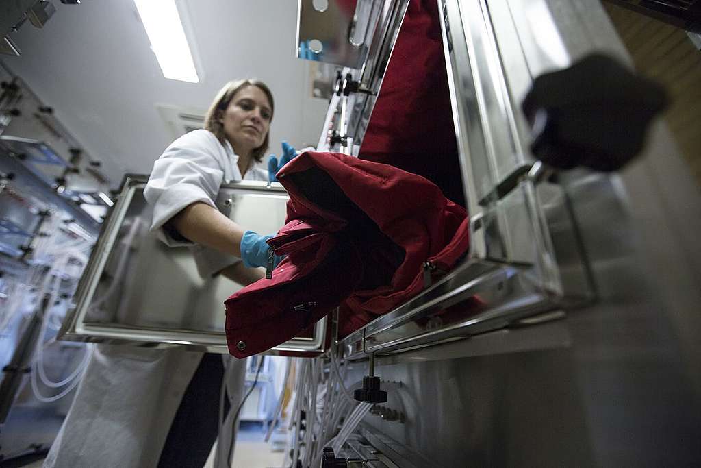 Das Mammut trägt einen Schadstoff-Handschuh