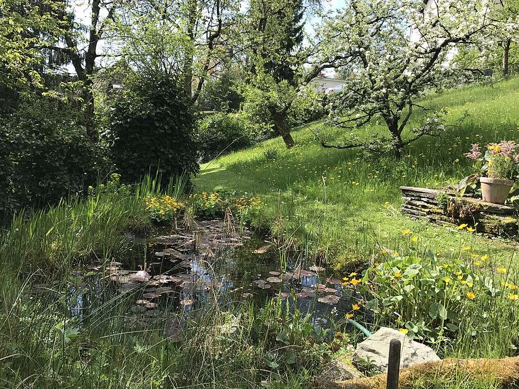 « Je plaide pour une certaine paresse au jardin. »