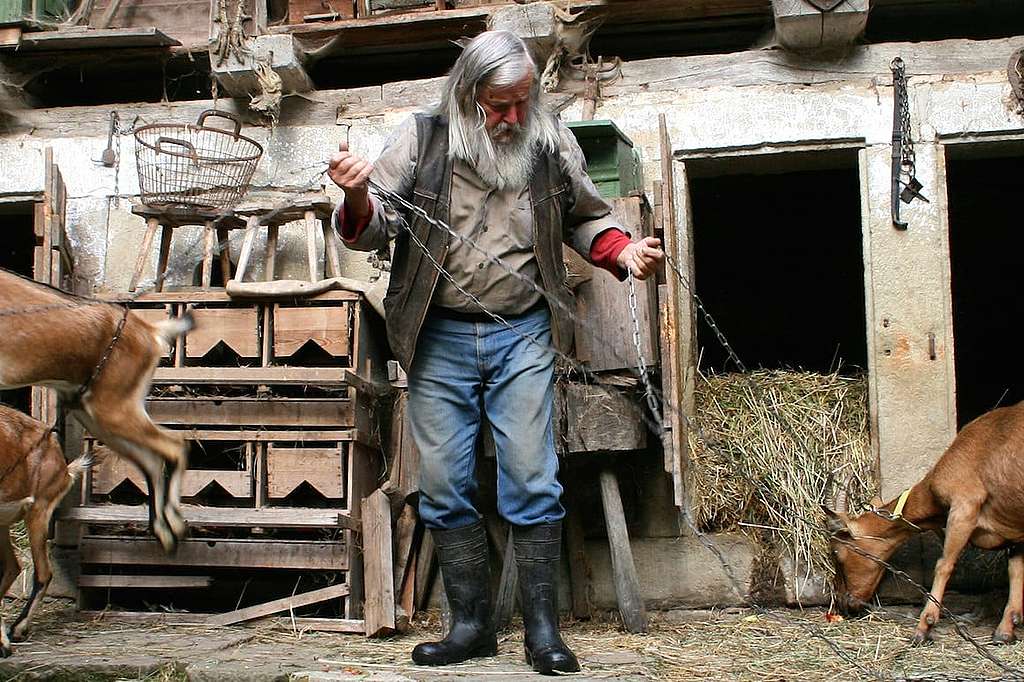 Die Insel des Rebellen