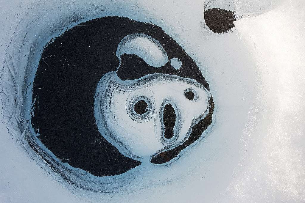 Le monde vu d&rsquo;en haut