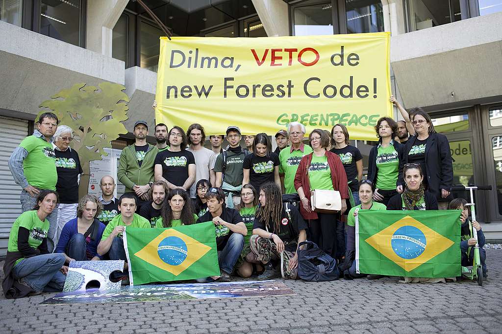 Weltweiter Greenpeace-Appell zum Schutz des Amazonas-Regenwaldes