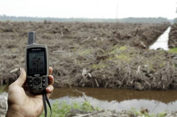 Gerodeter Wald in Sumatra Gerodeter Wald in Sumatra