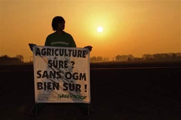 Les gouvernements n&rsquo;apprendront-ils jamais que les OGM sont incontrôlables?