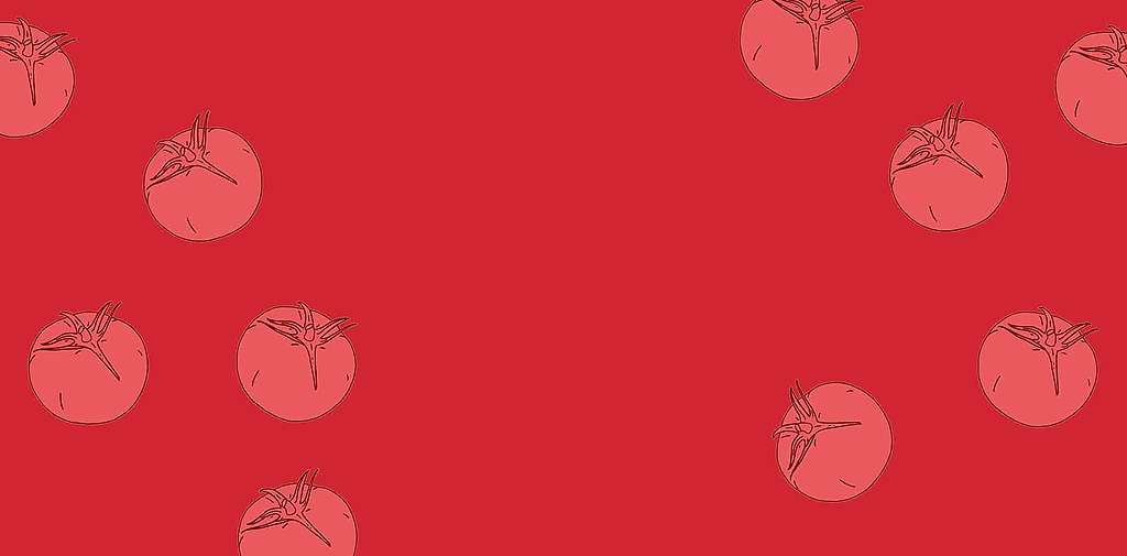 L&rsquo;index tomate a parlé:  1000 Tonnes de plastique pour des tomates