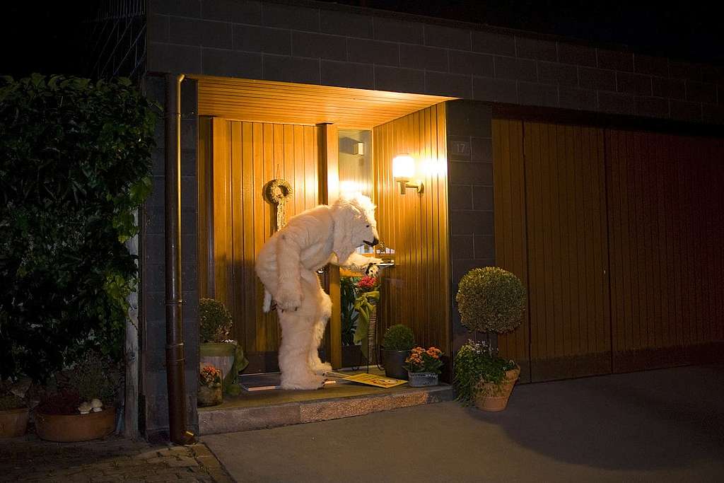 Shell-Boss zeigt Eisbär Paul die kalte Schulter