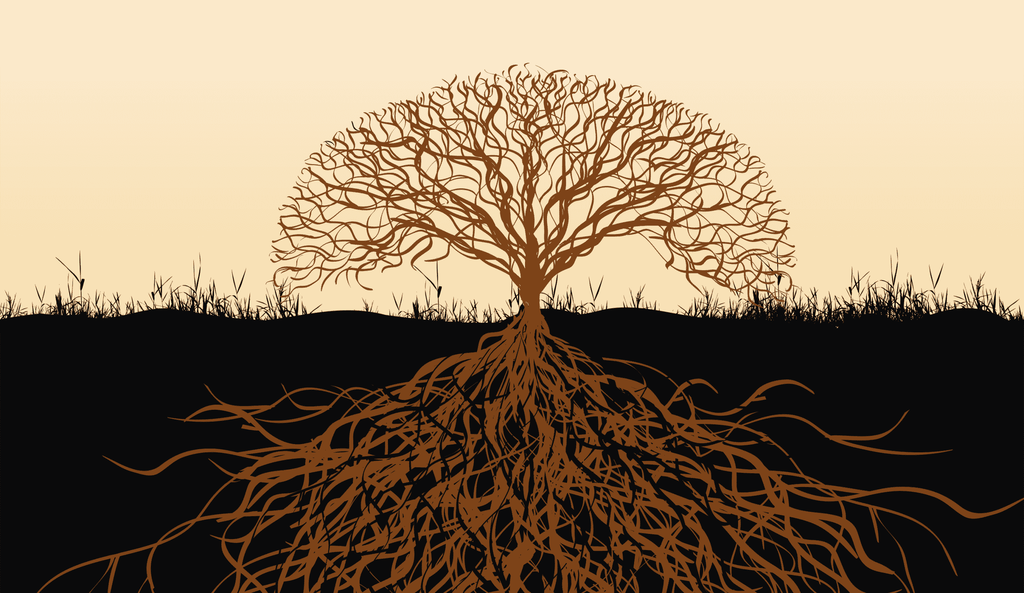 Un nouveau laboratoire pour méditants-militants