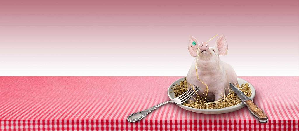 Weniger Fleisch, mehr Zukunft