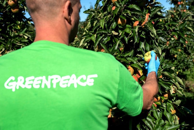 Rapport accablant de Greenpeace: Un cocktail de pesticides trouvé dans les pommes