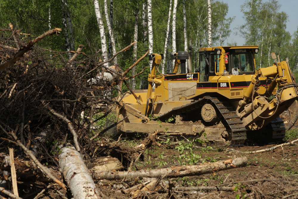 Russischer Präsident Medwedew kann Khimki-Wald retten
