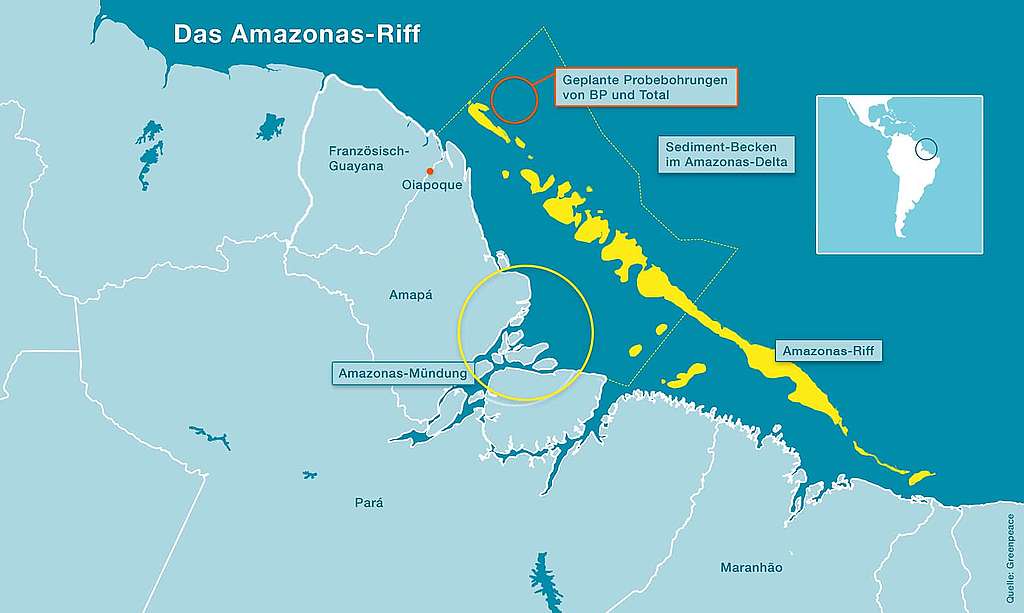 Auf Expedition am Amazonas-Riff