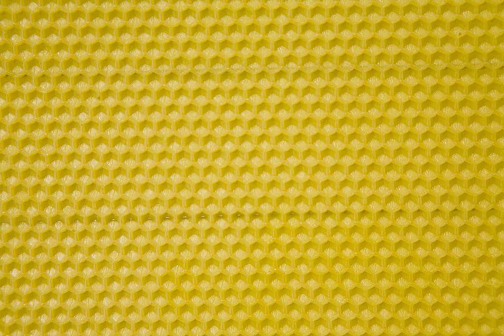 Communiqué de presse: Pétition: plus de 80&rsquo;000 signatures pour protéger les abeilles