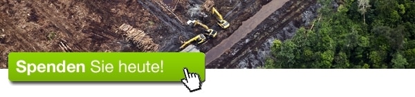 Spenden Sie heute für den Amazonas! Spenden Sie heute!