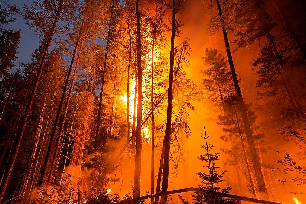 Climat: la planète brûle
