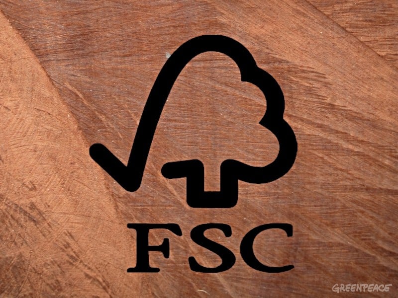 Greenpeace publie des recommandations pour le FSC