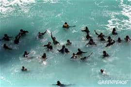 Greenpeace-Aktion in Cancun am 10.12.2010