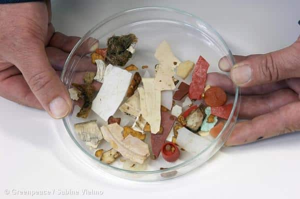 Plastiksuppe zum Weltmeertag