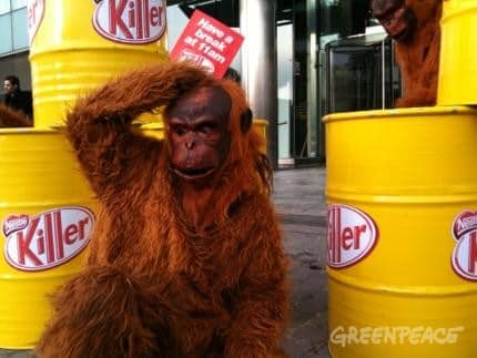 Nestlé verwendet Palmöl aus Urwaldzerstörung, auch für Kit Kat