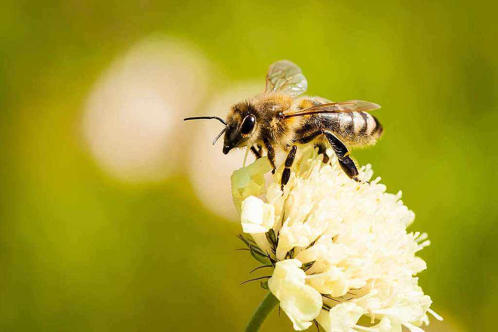 Sie fliegen nicht mehr