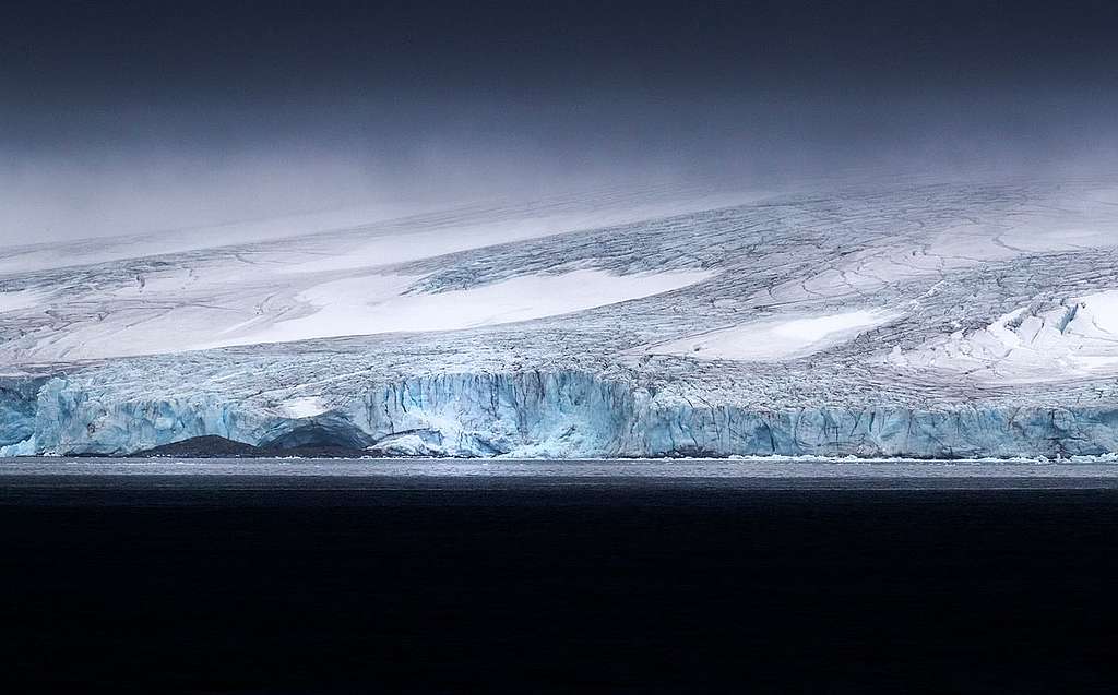 Protéger le krill c&rsquo;est protéger l&rsquo;Antarctique!