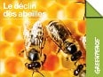 Le déclin des abeilles Le déclin des abeilles