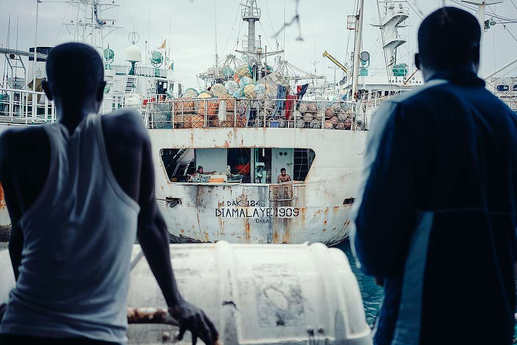 Afrique: des navires de pêche illégale dénoncés par Greenpeace