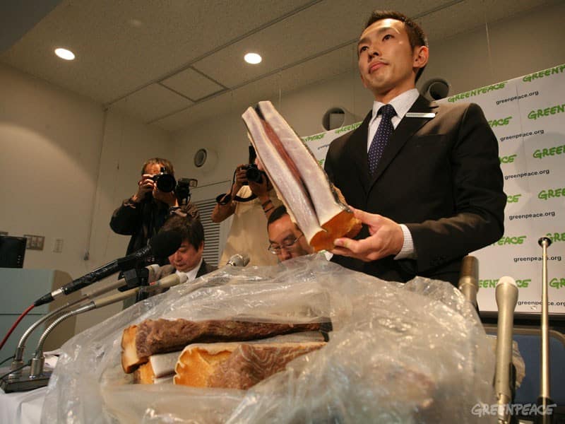 Untersuchungen zum Walfleisch-Skandal angelaufen