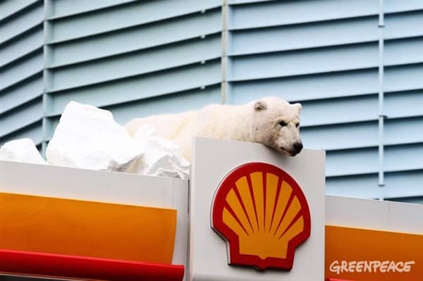Report des projets de forages de Shell: une trêve  hivernale pour l’Arctique