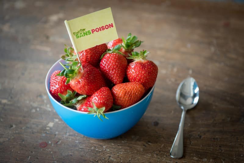 Pesticides et fraises suisses: un doux poison pour les bébés