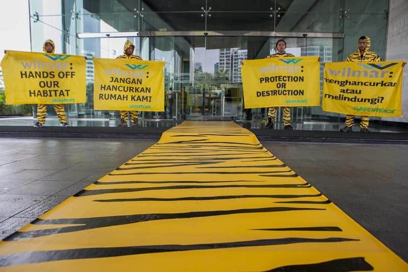 Huile de palme: Wilmar s’engage à protéger les forêts indonésiennes