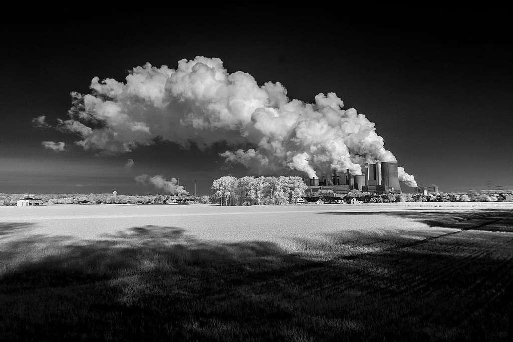 Assurances: 20 milliards d&rsquo;investissements retirés du secteur du charbon