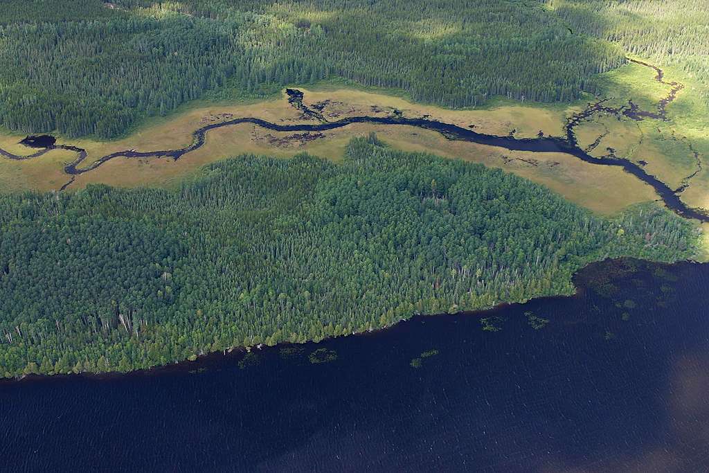 Eine Welt ohne Greenpeace?