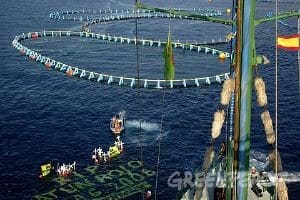 Konferenz zu Tunfischfang