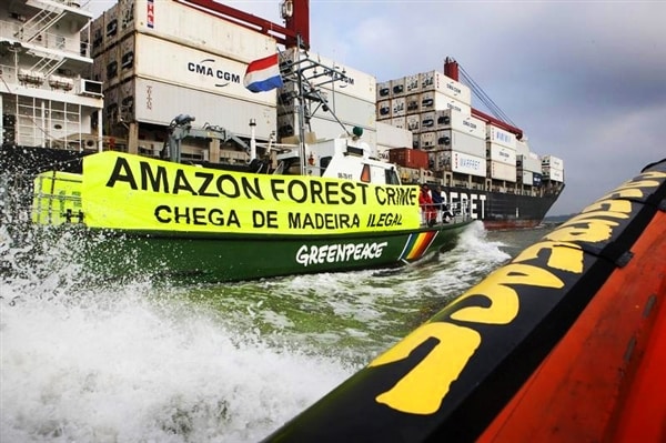 Bois illégal: un trafic d&rsquo;Amazonie&#8230; en Suisse!