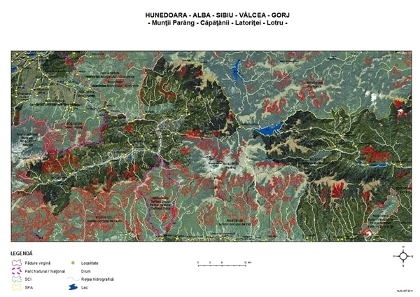 Roumanie: chaque heure, 3 hectares de forêt disparaissent