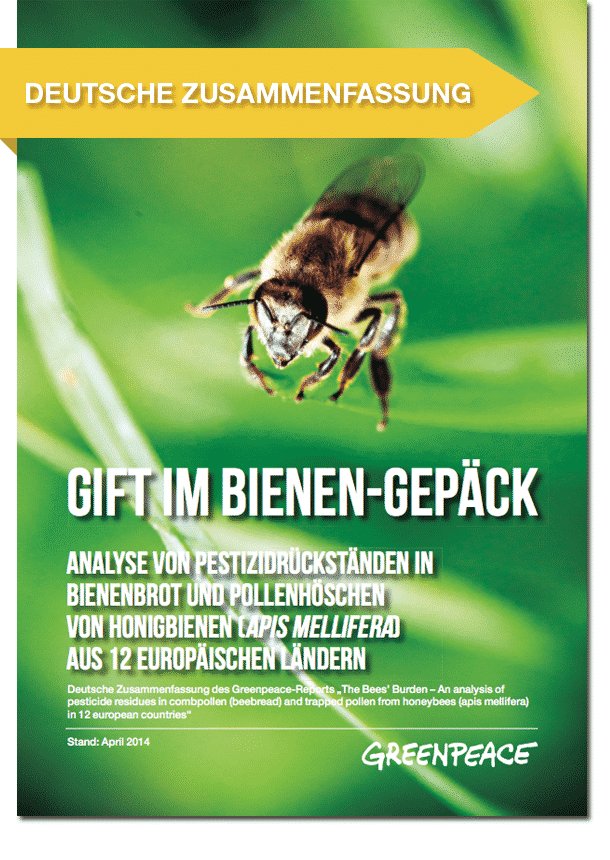 «The Bee’s Burden»: Warum die Bienen unsere Hilfe brauchen und wir ihre