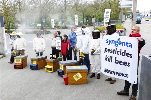 Syngenta augmente son chiffre d’affaires au détriment des abeilles