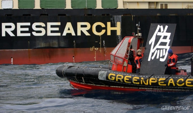 Der japanische Schwindel: «Wissenschaftlicher Walfang»