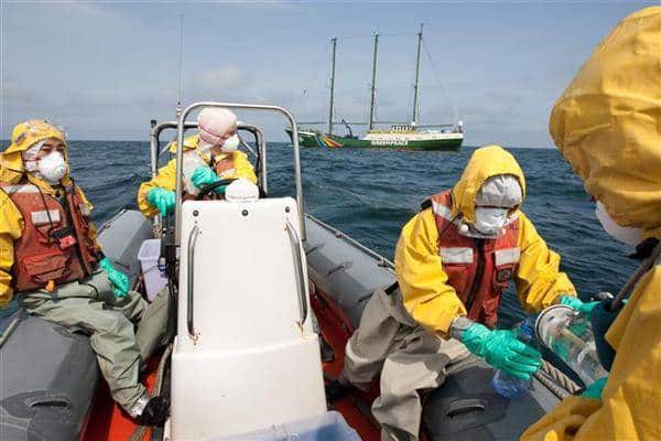 Hohe Kontamination von Algen und Fischen in Fukushima